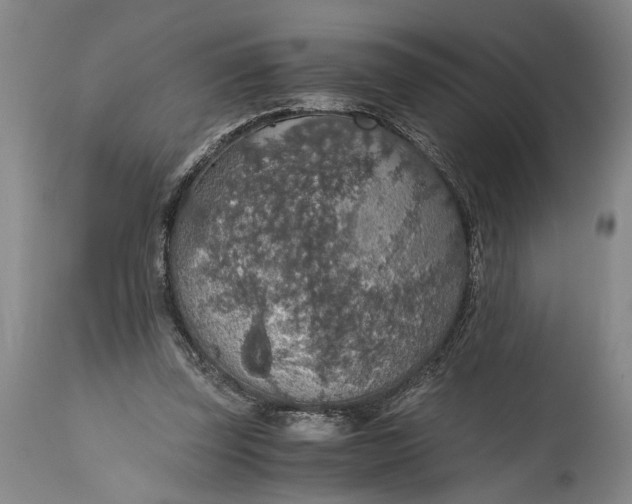 X0000115410347200911171405