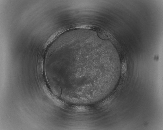 X0000115410349200911171405
