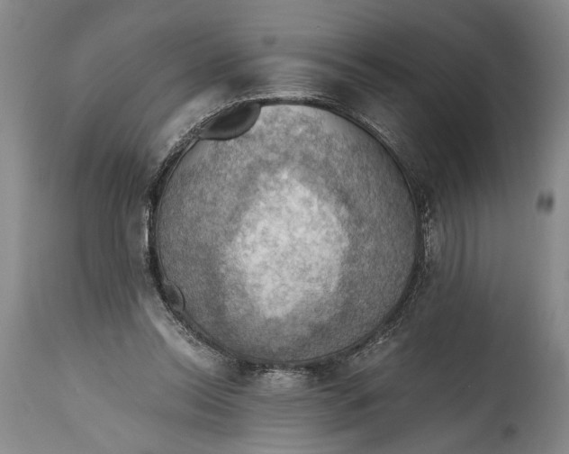 X0000115410350200911171405