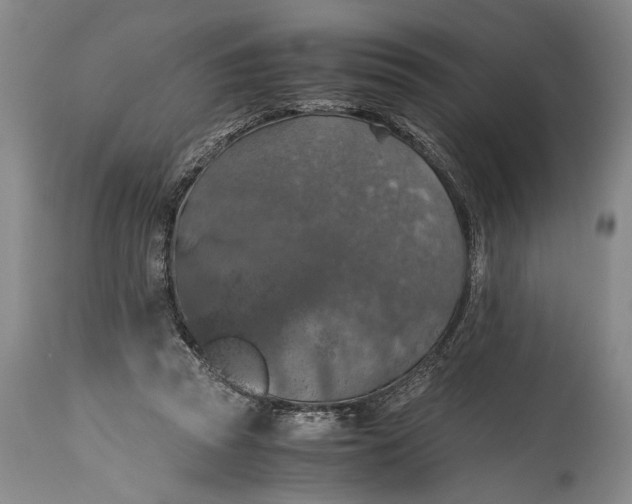 X0000115410353200911171405