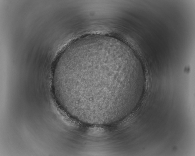 X0000115410354200911171405