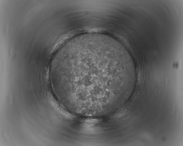 X0000115410357200911171405