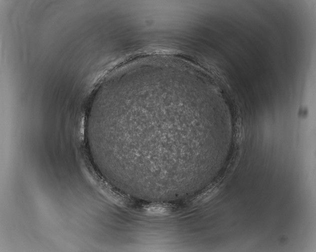 X0000115410358200911171405