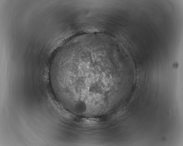 X0000115410359200911171405