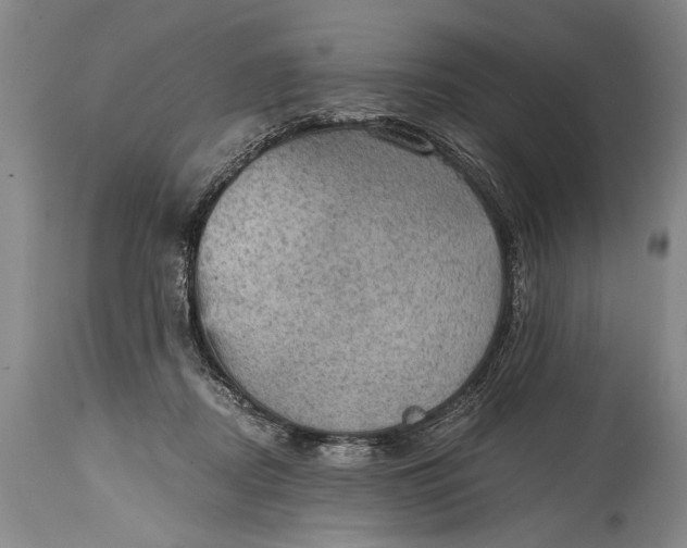 X0000115410362200911171405