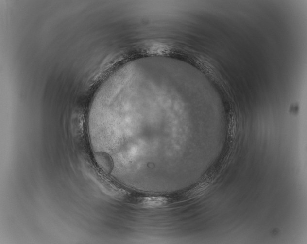 X0000115410363200911171405
