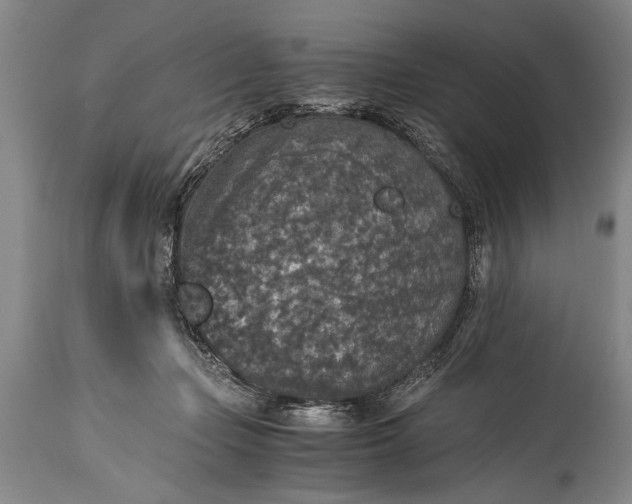 X0000115410365200911171405
