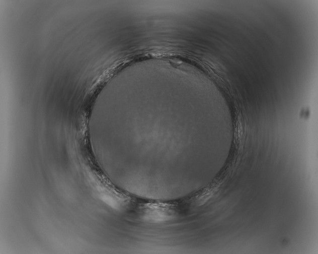 X0000115410367200911171405