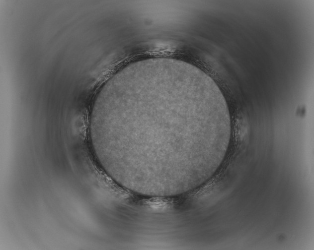 X0000115410370200911171405