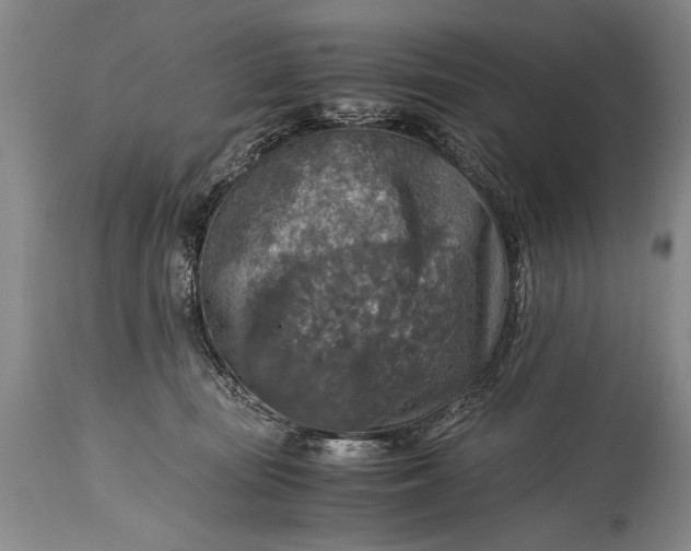 X0000115410371200911171405