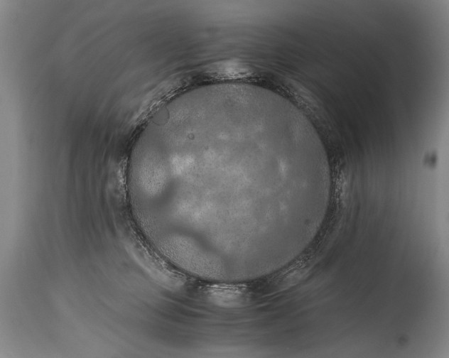 X0000115410373200911171405
