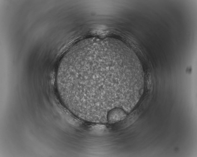 X0000115410374200911171405