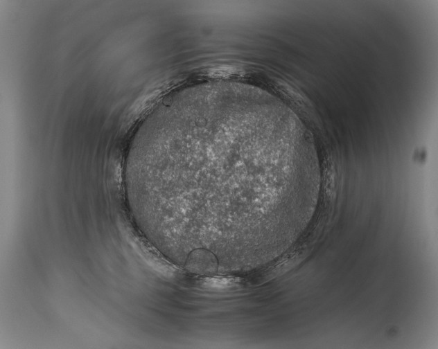 X0000115410375200911171405