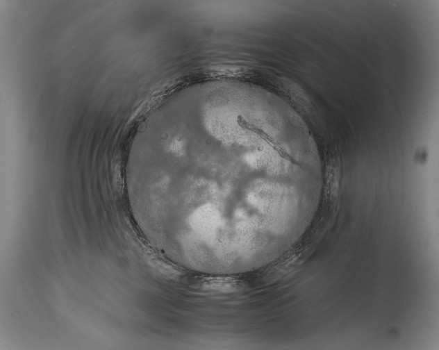 X0000115410377200911171405