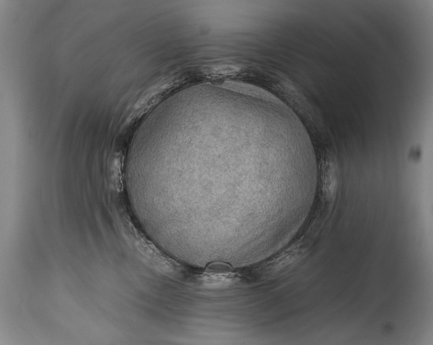 X0000115410378200911171405