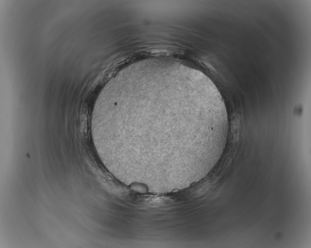 X0000115410379200911171405