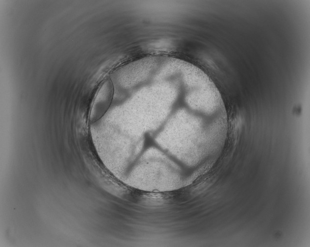 X0000115410381200911171405