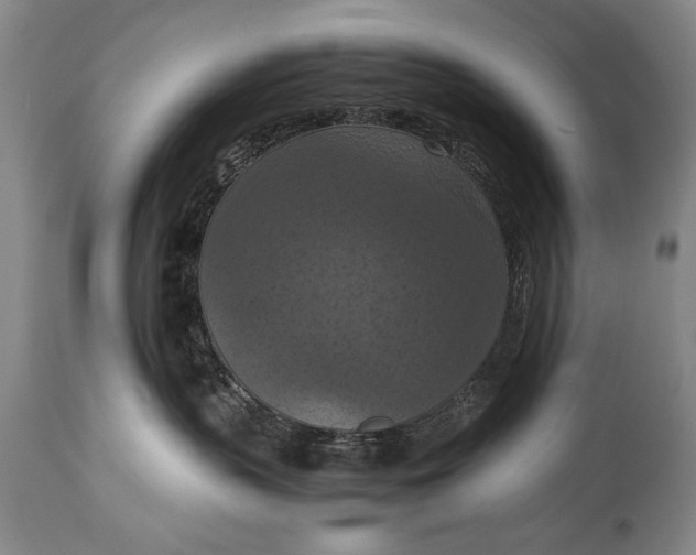 X0000115410383200911171405