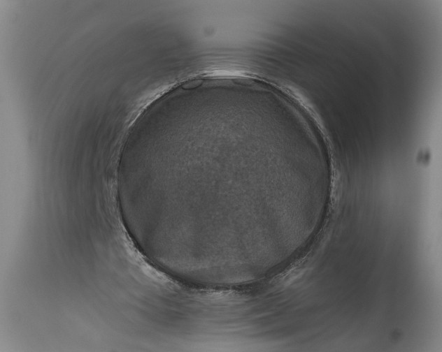 X0000115410385200911171405
