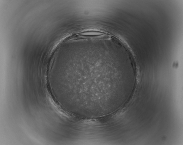 X0000115410386200911171405