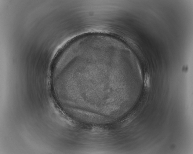 X0000115410388200911171405