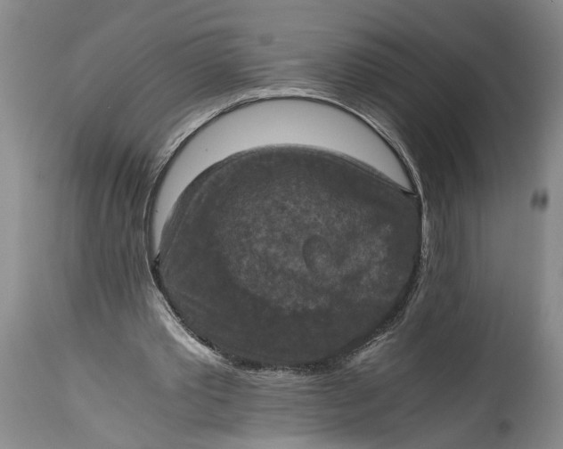 X0000115410389200911171405