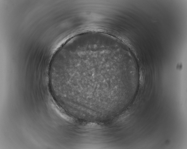 X0000115410390200911171405