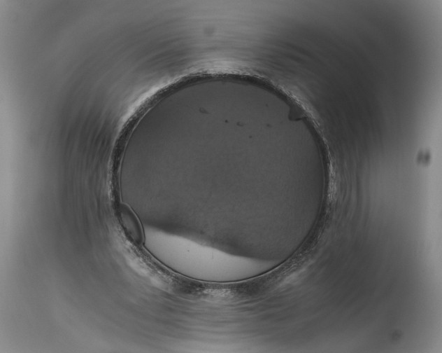 X0000115410391200911171404