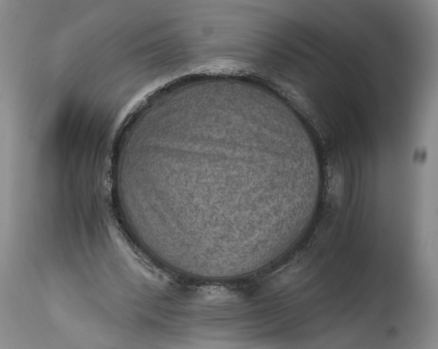 X0000115410392200911171404
