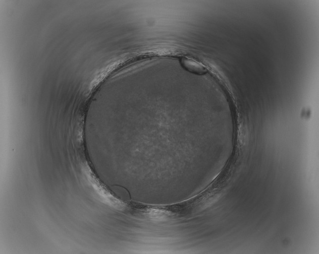 X0000115410393200911171404