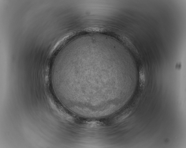 X0000115410396200911171404