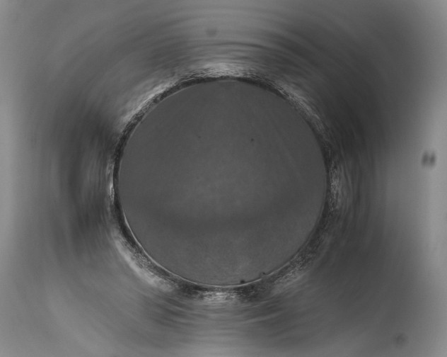 X0000115410398200911171404