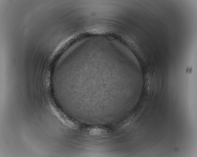 X0000115410400200911171404