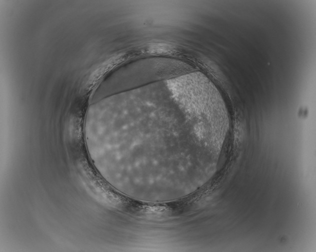 X0000115410401200911171404