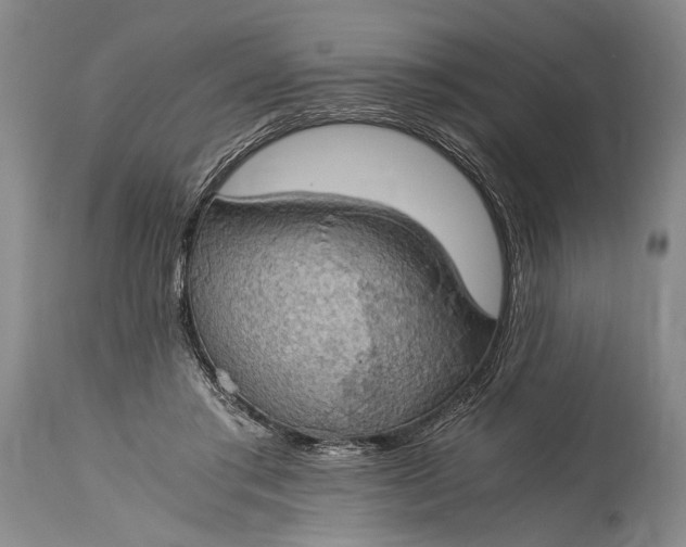 X0000115410405200911171404