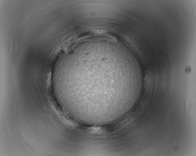X0000115410406200911171404
