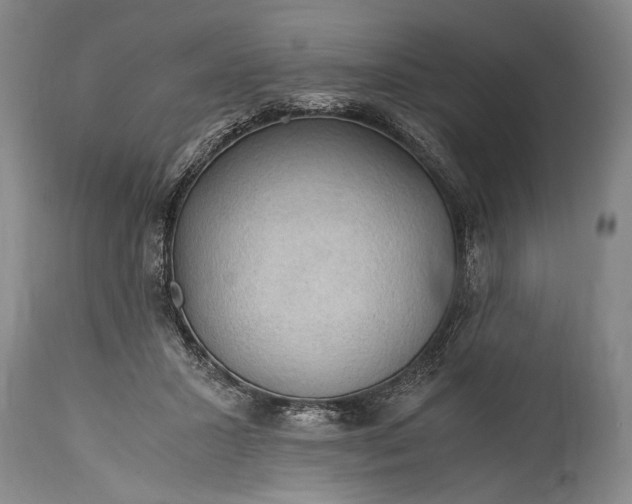 X0000115410407200911171404