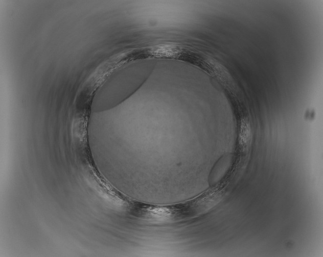X0000115410409200911171404