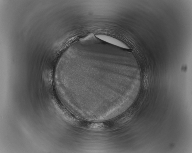 X0000115410410200911171404