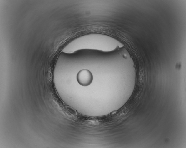 X0000115410411200911171404
