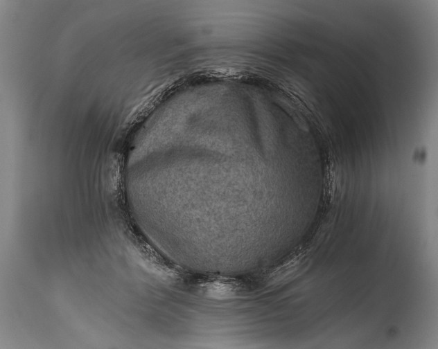 X0000115410412200911171404
