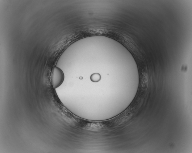 X0000115410414200911171404