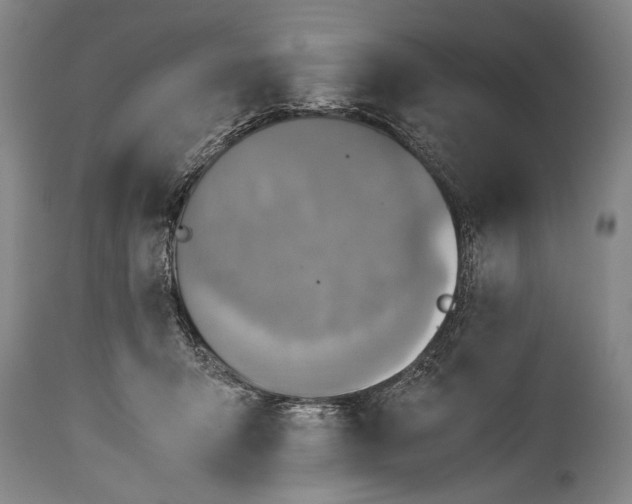X0000115410415200911171404