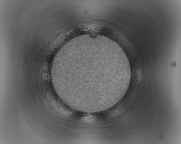 X0000115410416200911171404
