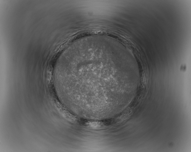 X0000115410417200911171404