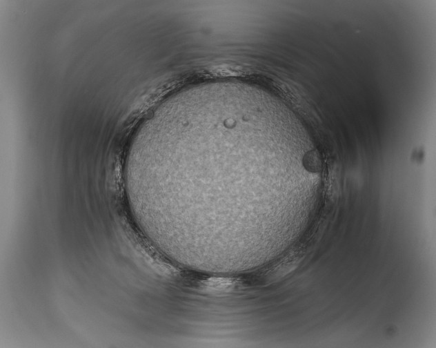 X0000115410418200911171404