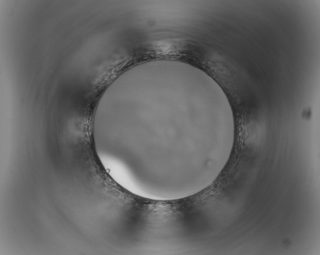 X0000115410419200911171404
