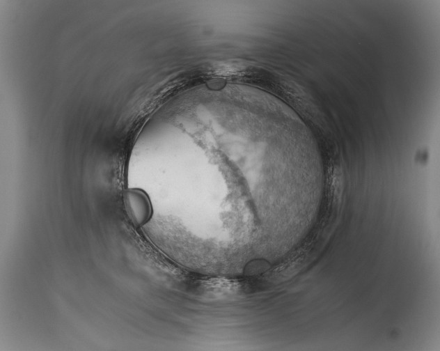 X0000115410421200911171404