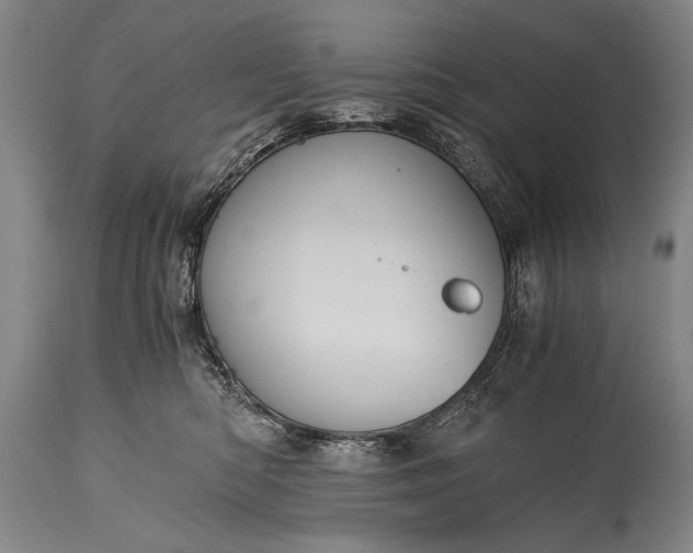 X0000115410422200911171404