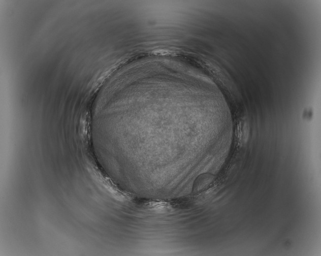 X0000115410424200911171404
